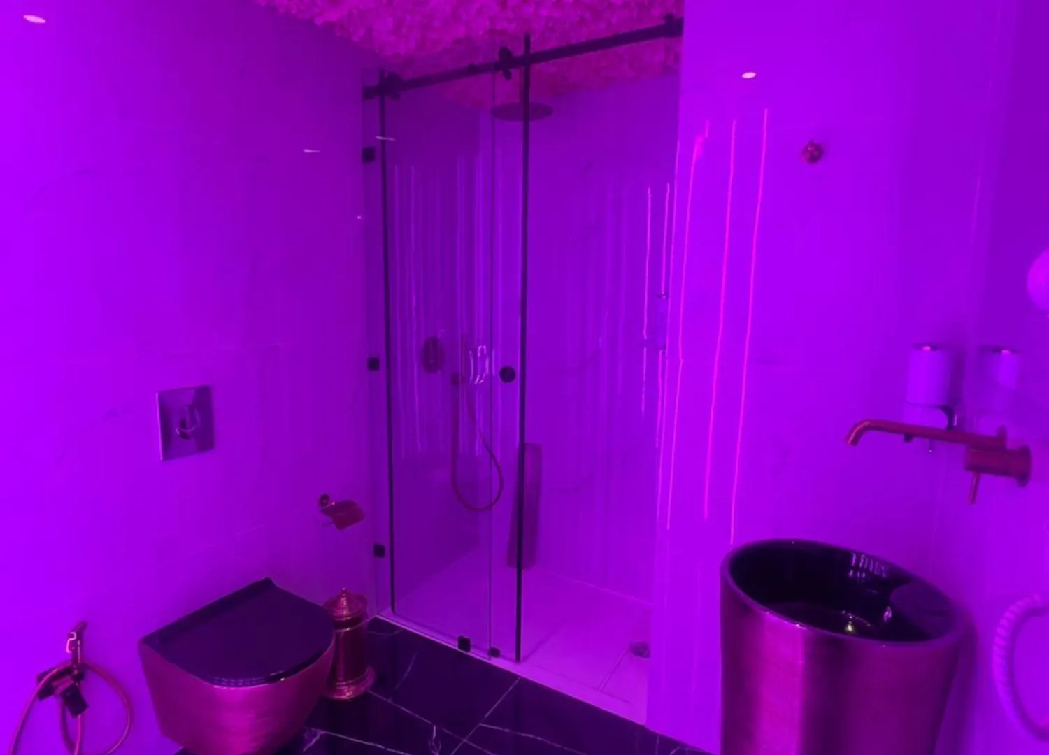 La Vie En Rose ! Jacuzzi ! Centre Marrakech Apartment Marrakesh