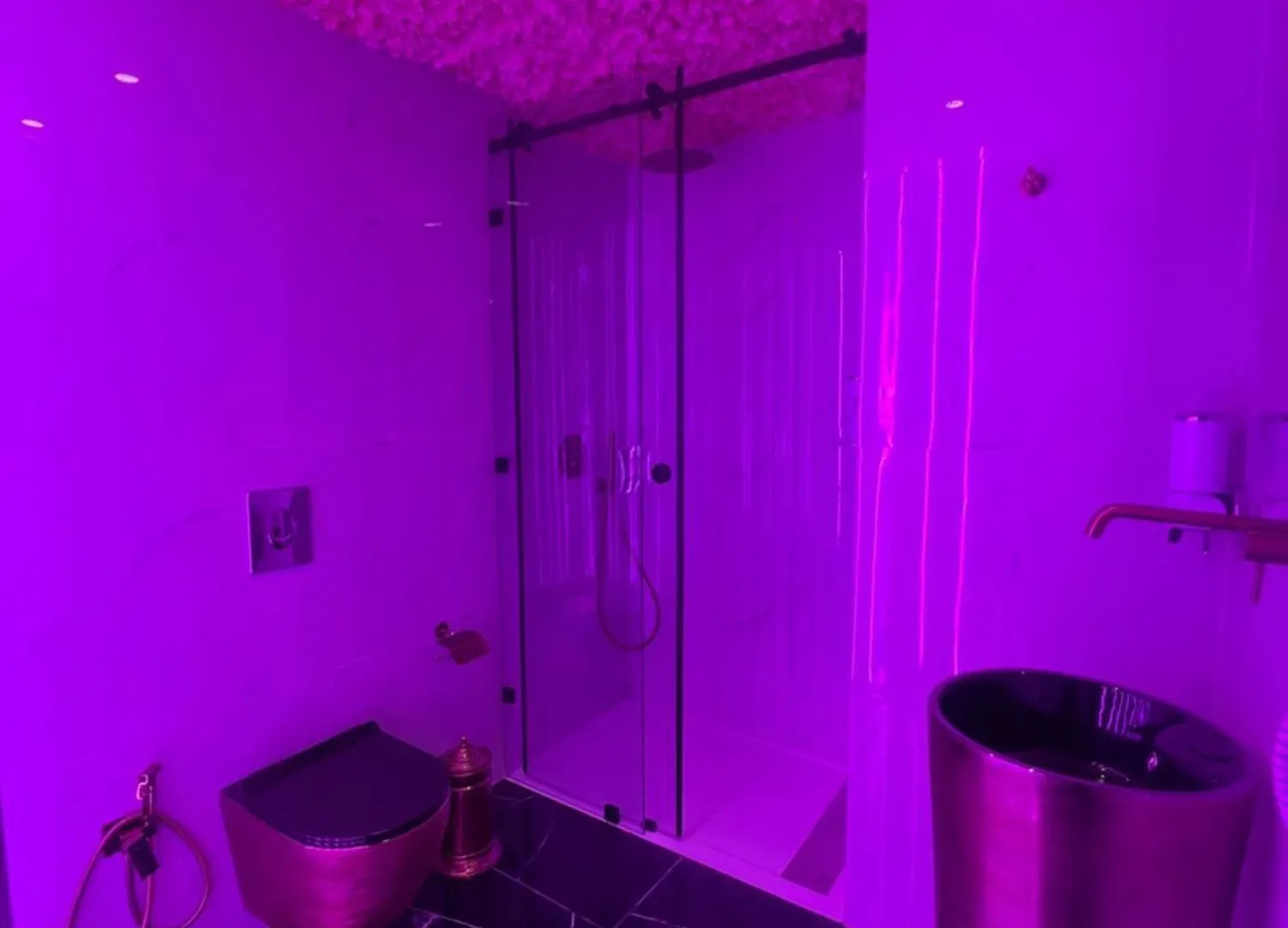 La Vie En Rose ! Jacuzzi ! Centre Marrakech Apartment Marrakesh 0*,